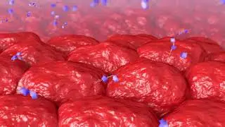 Humabody Drug Conjugates: A Novel Therapeutic Approach