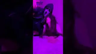 Как отметили Хеллоуин