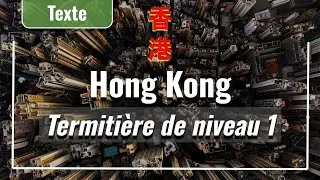 Hongkong : Termitière de niveau 1
