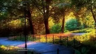 CHRIS SPHEERIS & PAUL VOUDOURIS - Enchantment