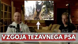Kako vzgojiti zahtevnega psa? | alfakan | podcast