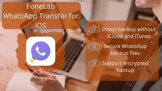 How to Selectively Transfer iPhone WhatsApp Data to Computer