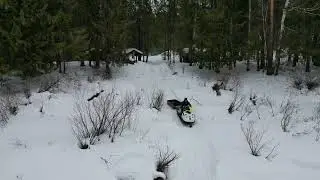 жизнь в тайге 🌓