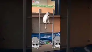 Офигеть!