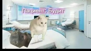 Как я попала в больницу🐱 1 сезон все серии (1-5) идея:
