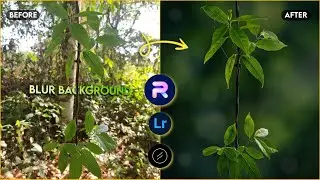 How to Blur Image Background and Create Moody Green Photo Editing in Lightroom | PhotoRoom Editing