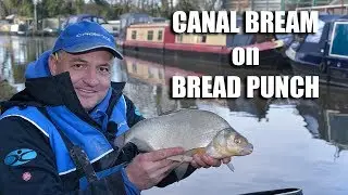 Canal Bream On Bread Punch