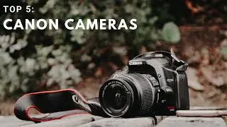 Top 5 Best CANON CAMERAS 2021