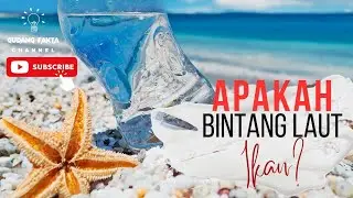 Apakah Bintang Laut Termasuk Jenis Ikan?|Gudang fakta #faktaunik #faktamenarik #infoterkini