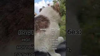 27 октября 2023 г.