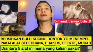 BULU KUCING RONTOK DAN MENEMPEL DI BAJU SOFA KASUR DLL ?? Begini cara2 membersihkan bulu kucing tsb