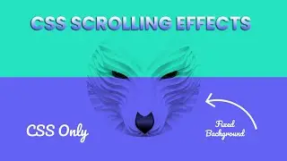 CSS Fixed Background Scrolling Effects | CSS Scrolling Effect 