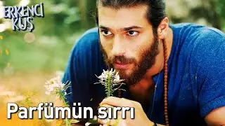Parfümün Sırrı | Erkenci Kuş