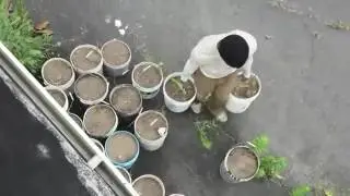 Мотивация в спорте