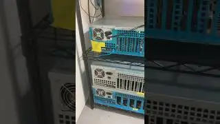 $1000 bear market purchase, worth it?