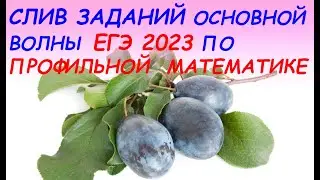 СЛИВ ЗАДАЧ ЕГЭ 2023 ПО ПРОФИЛЬНОЙ МАТЕМАТИКЕ