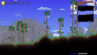 Playing Terraria again but on new world