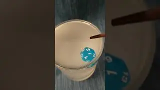 Wiz Dice Translucent Blue Salt Water Float Test