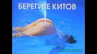 Жопа кита