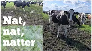 The weather is nice now, but mowing the lawn is REALLY NOT going to happen... | Farmer Gerrit vlogs