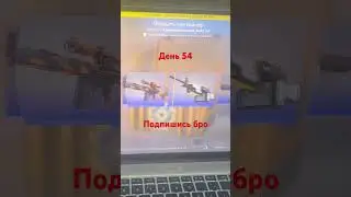 Открываю 1 кейс каждый день: Что случилось на 54-й день?