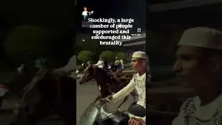 Horse beating cruelty case in Hyderabad India