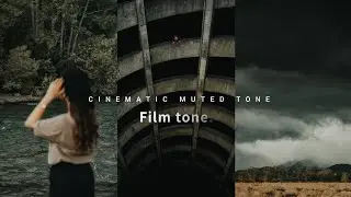 cinematic muted lightroom free Preset - Tutorials 