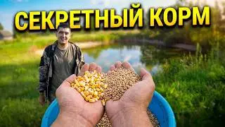 Пруд на участке.Пруд на даче.Водоём на участке. Пруд без плёнки