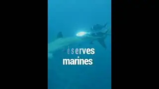 La première destination verte du monde