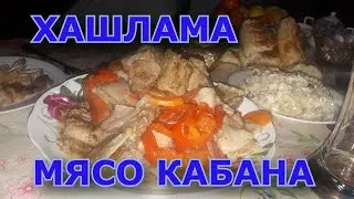 хашлама на пиве из дикого кабана