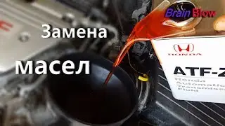 Замена масел Honda Accord 7