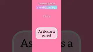 🦜What does as sick as a parrot mean? Learn new idiom with #IdiomDictionary