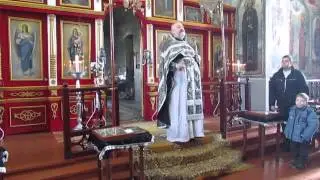 Проповедь протоиерея Сергия