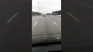 Путь дамой