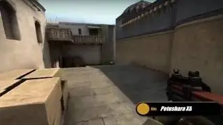 ACE-Petushok /