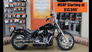 BRAND NEW 2020 Harley-Davidson SOFTAIL STANDARD with Cameron Hallacy