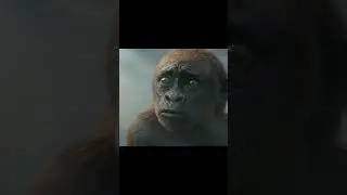 Годзилла и Конг Новая империя (Godzilla x Kong The New Empire) (2024) #кино #фильм #movie #мультик
