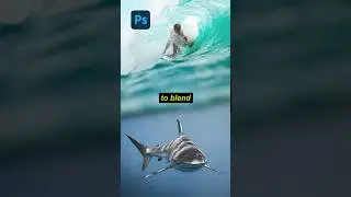 How to Blend Two Images in Photoshop 