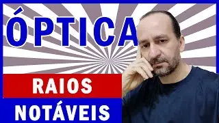 Raios notáveis: o que são, onde vivem, como se reproduzem...?😄