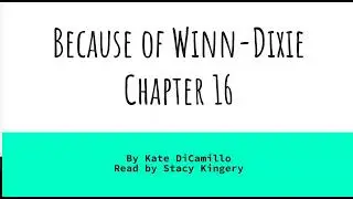 Because of Winn Dixie, Chapter 16