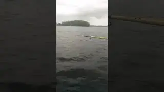 Не ожидал такого! Клев в непогоду. Поплавок.