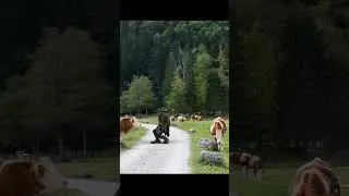 Monster VFX #blender #cgi #funny #3danimation #blenderanimation#vfx #visualeffects #aftereffects