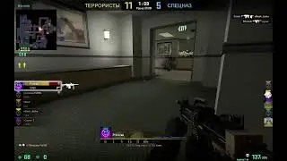 CS GO