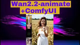 Run Wan Animate locally - on ComfyUI and a single GPU