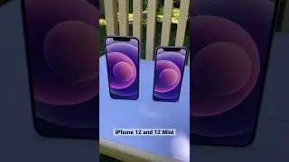 iPhone 12 and 12 Mini
