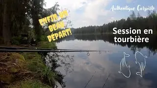 Session en tourbière - pêche de la carpe