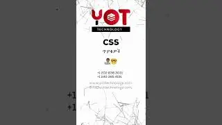 CSS Multiple Choice Questions 🤔👨🏾‍💻🎨🤓