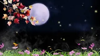 Flower black screen video | tree branches black screen | butterfly black screen effect