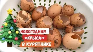 Расклёв. Что делать?