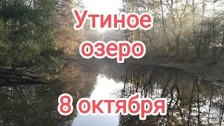 Берег озера